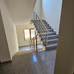 иванови сарафово *